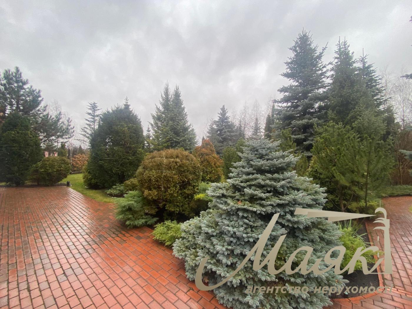 Sale of land opposite the forest with communications, the village of Lesniki.