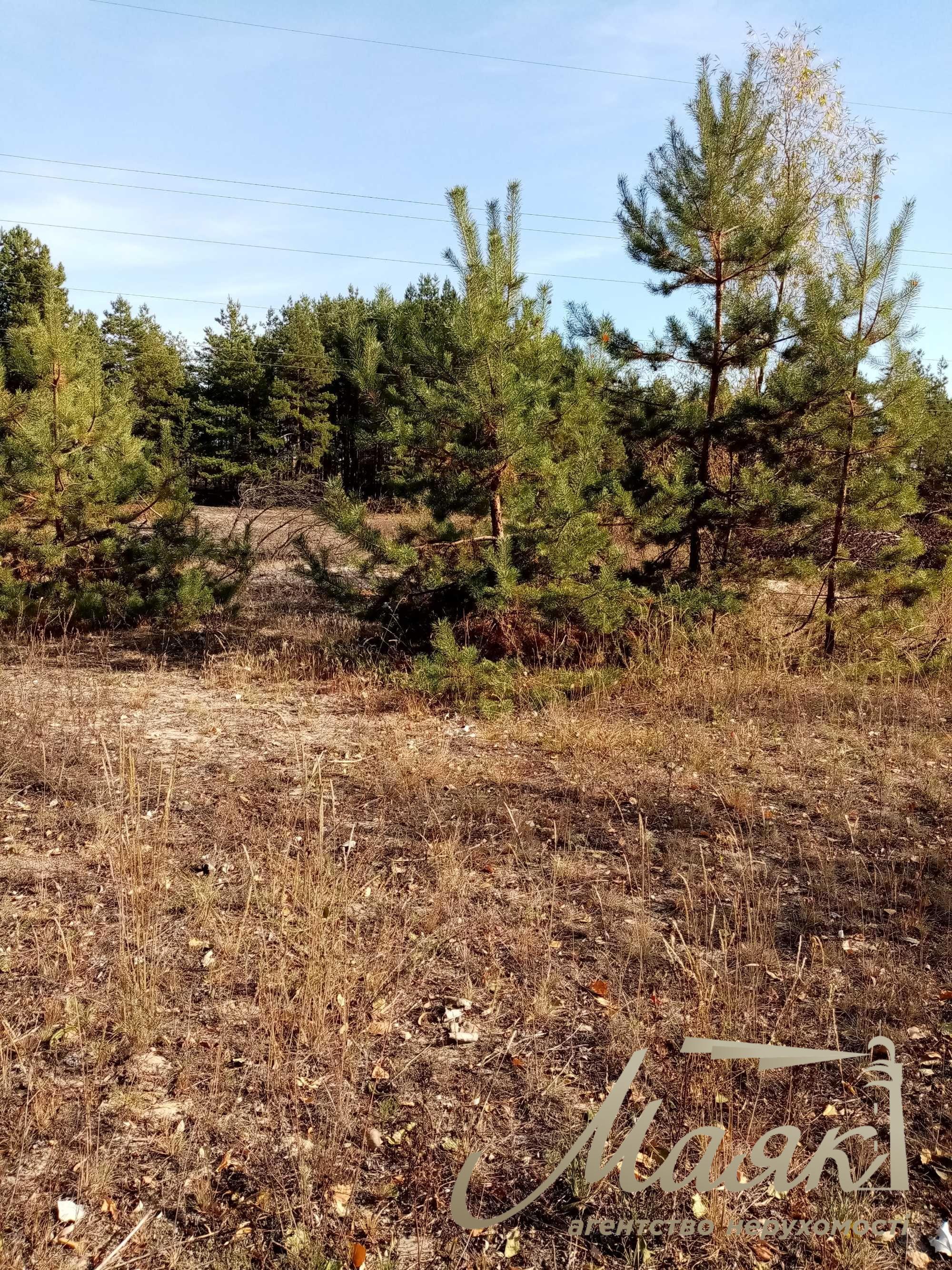 Plot for sale with access to the water (Koncha-Zaspa, Pluty, Kozin)