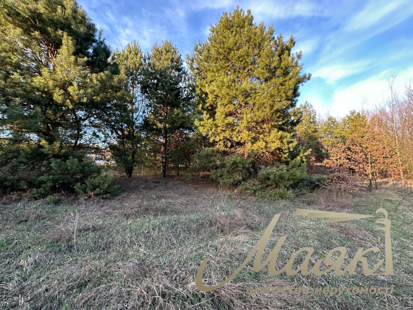 Sale of land for individual construction in the town. village of Kruglik.