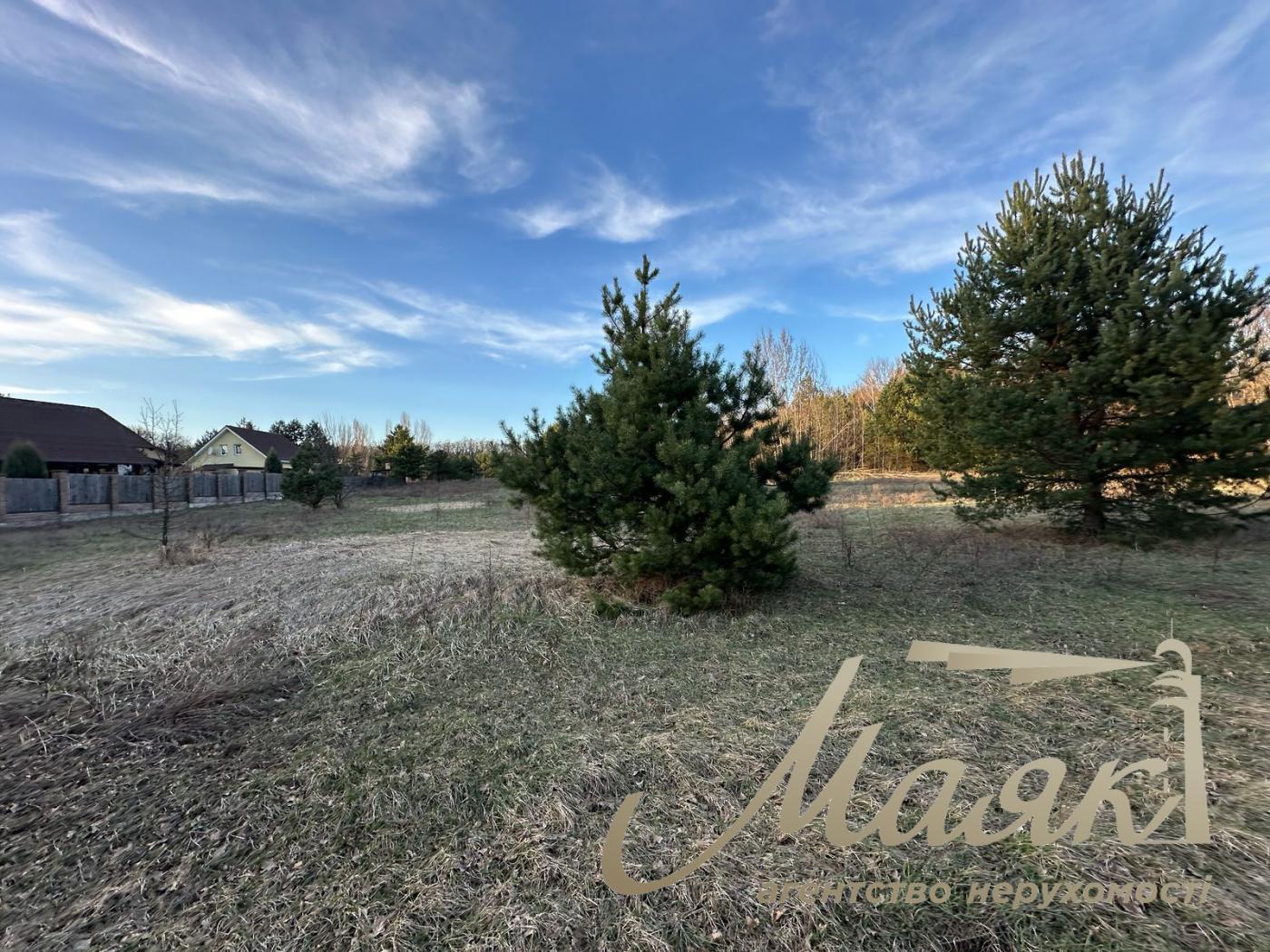 Sale of land for individual construction in a town in the forest.
