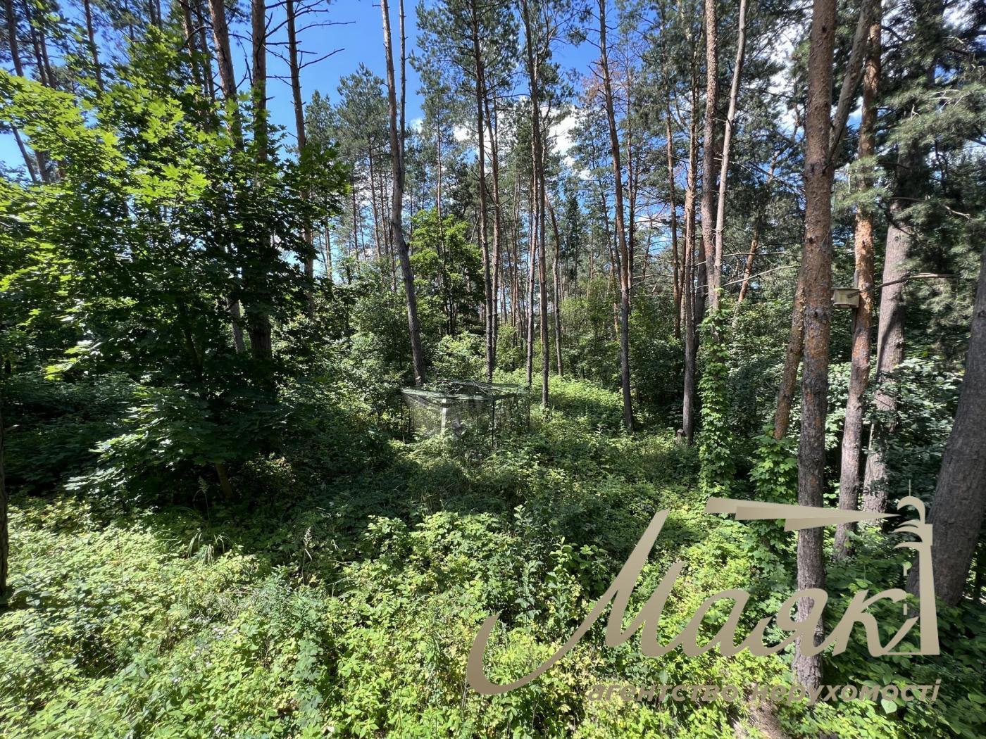 Sale of land 50 acres of forest, village Khodoseyevka.Novoobukhovskaya highway