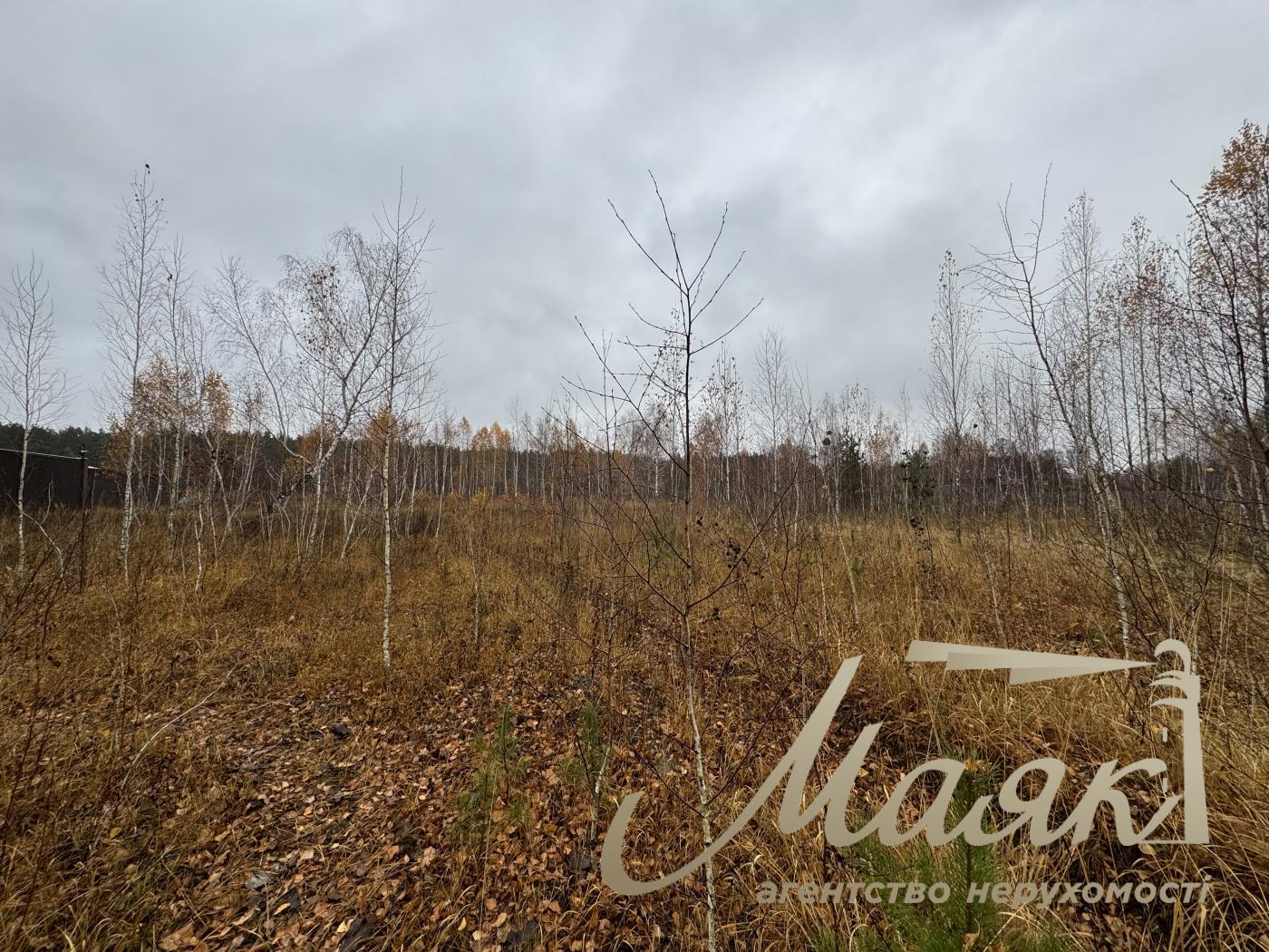 Sale of land in Kyiv region 40 acres + 20 acres for individual construction, Khutor Mrigi, Koncha Zaspa, Goloseevo, Kyiv