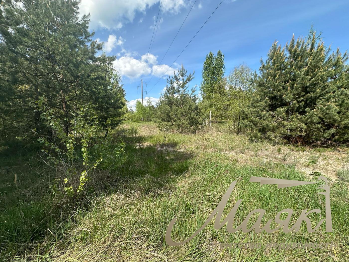 Sale of a plot with forest and access to the river Damba. Khotyanovka