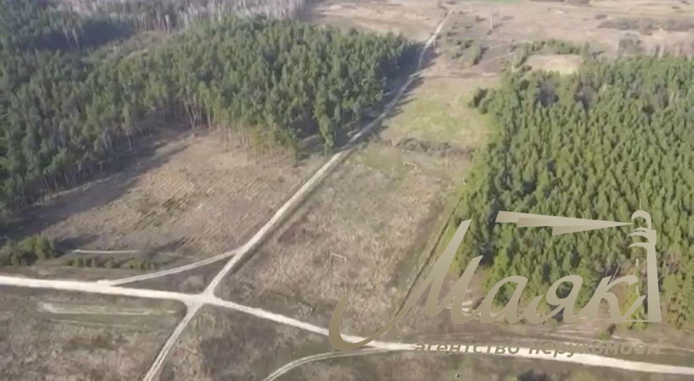 Sale of agricultural land. Brovarsky district