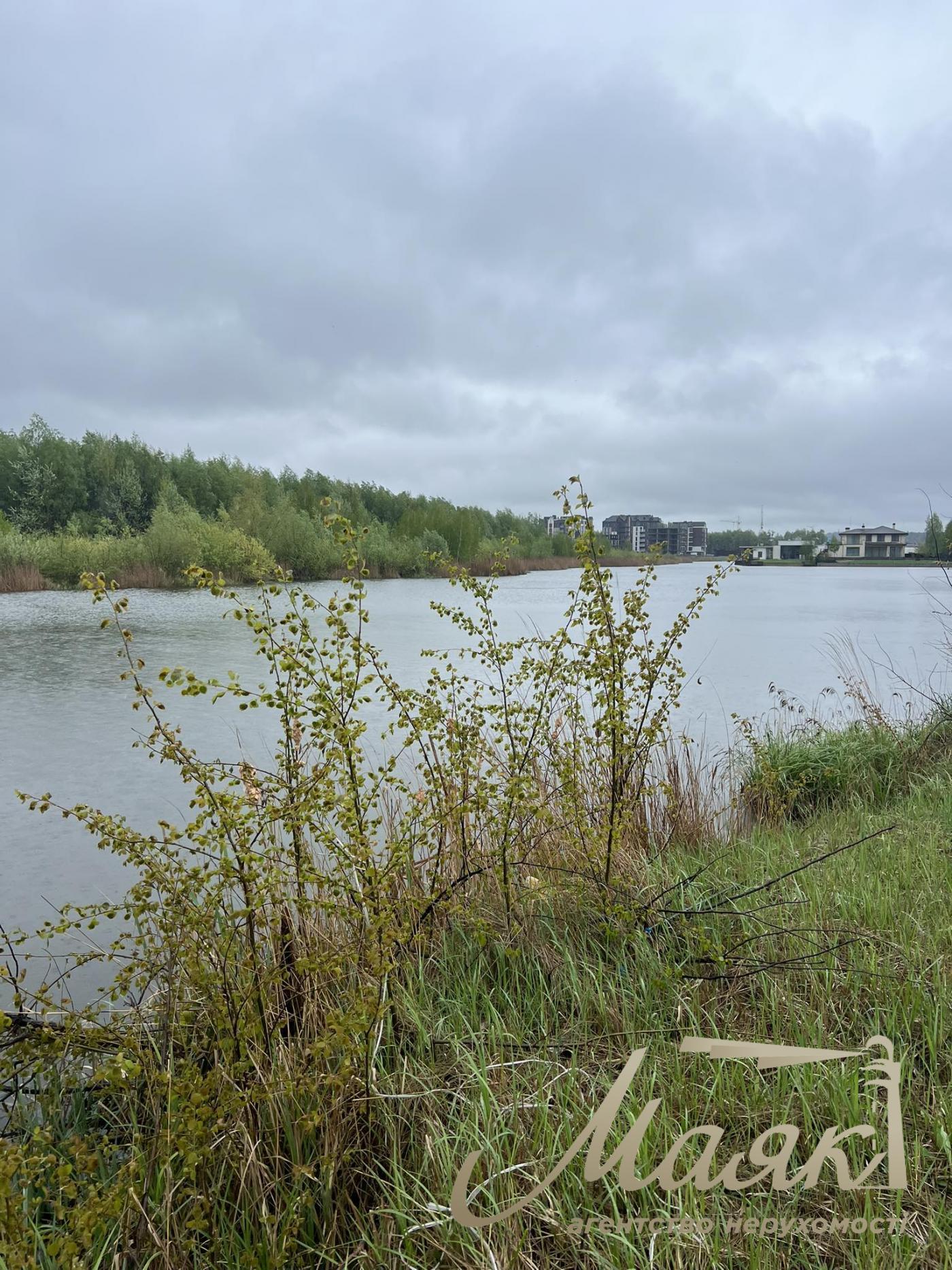 Sale of land with access to the river. Lesniki village. Yasny Khutor