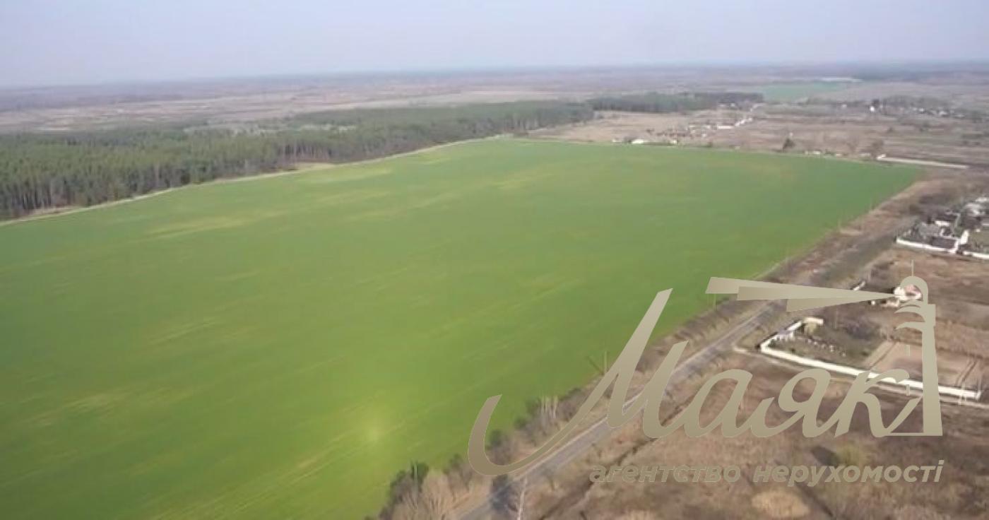 Sale of agricultural land. Brovarsky district