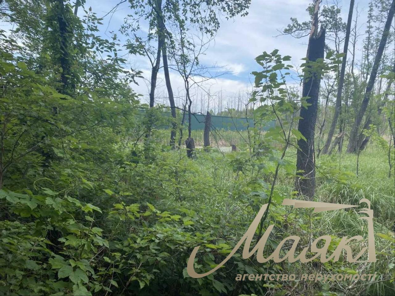 Продаж земельної ділянки,113 сот, Козин Обухівська обл.