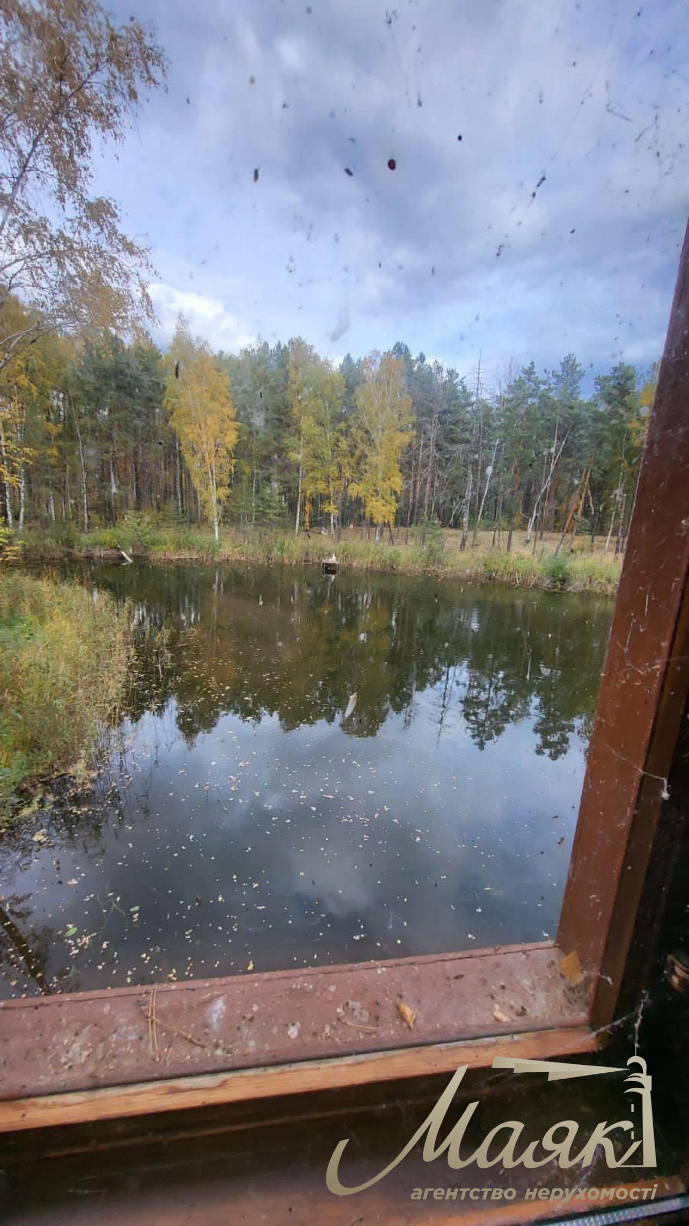 Sale of land with forest and access to the Dnieper. village Yasnogorodka