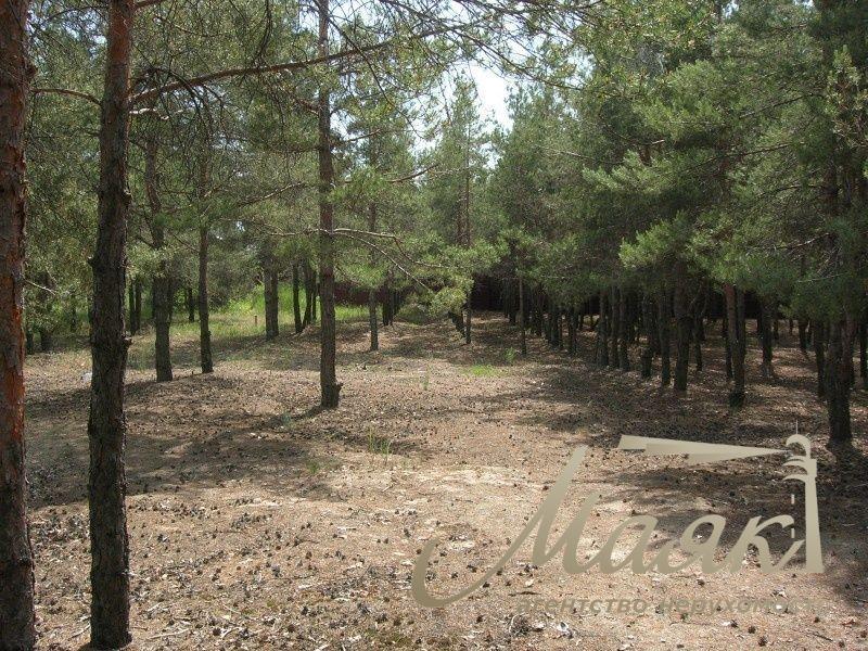 Plot for sale with access to the water (Koncha-Zaspa, Pluty, Kozin)