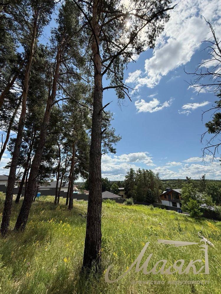 Продаж видових земельних ділянок від 14 до 40 соток у Лісниках, Києво-Святошинський район.