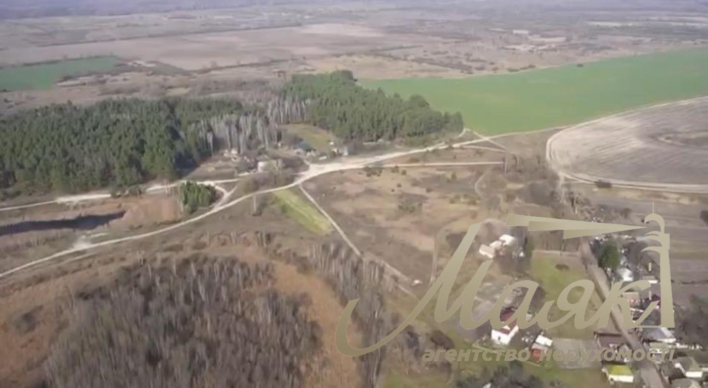 Sale of agricultural land. Brovarsky district