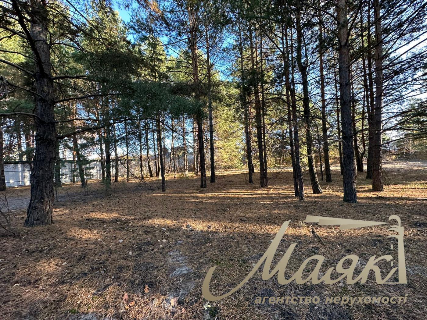 Sale of land beginning of the dam. Koncha-Zaspa. village Kozin