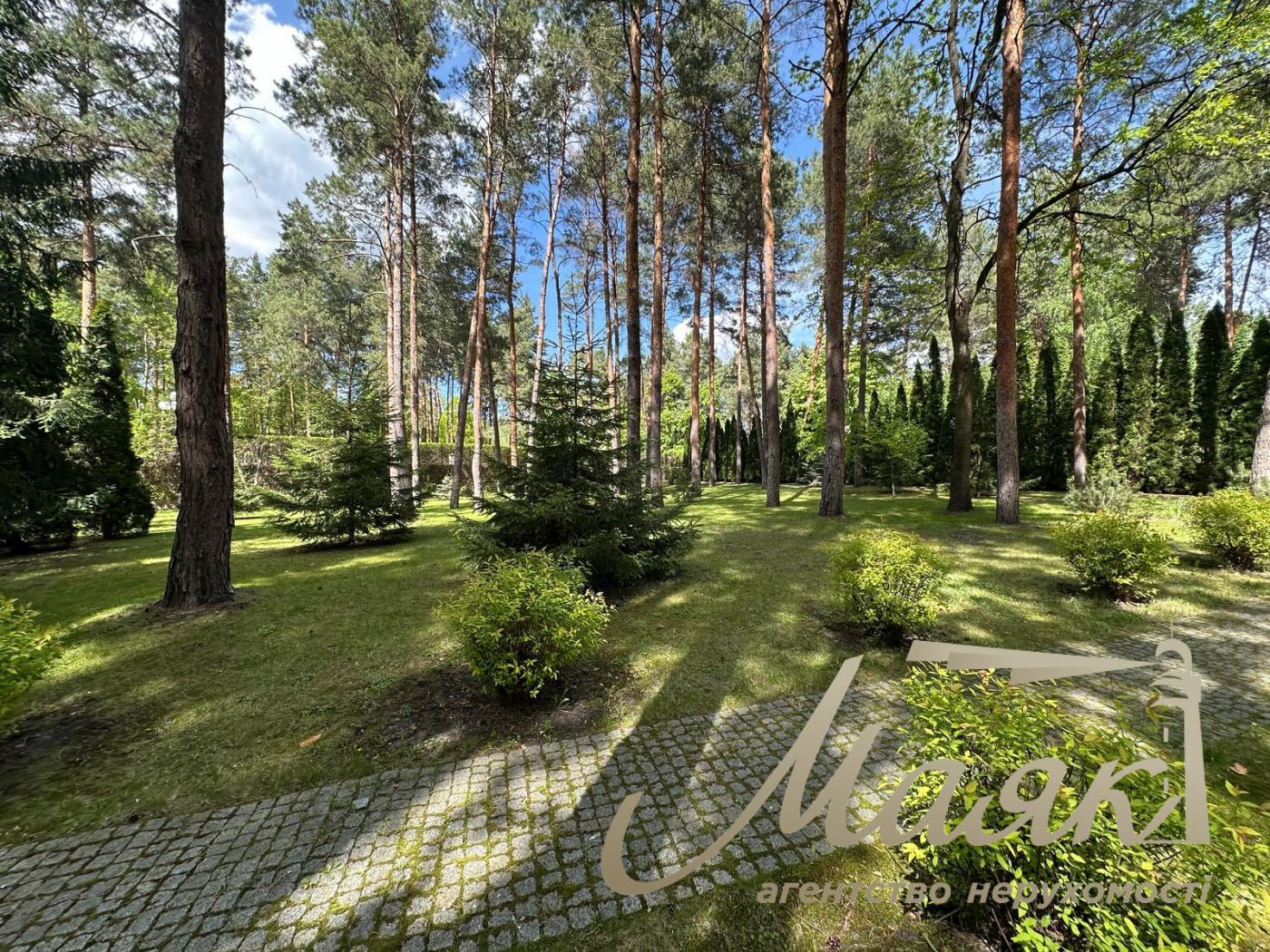 Sale of a plot of land in the forest in the city of Koncha-Zaspa.