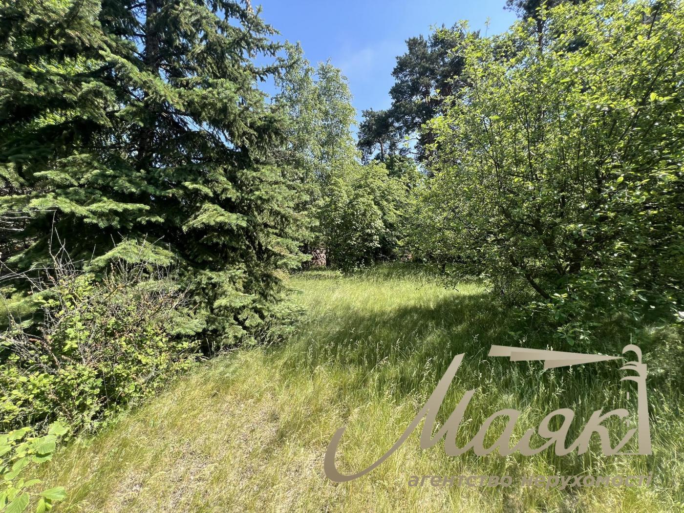 Sale of a plot with access to the Dnieper river. Kozin village. Dam