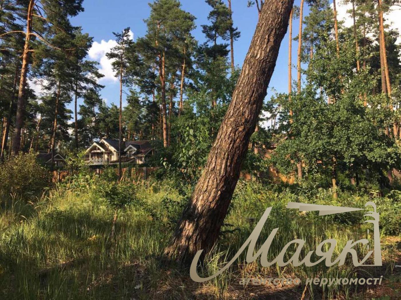 Sale of land plots for construction. Village Starye Bezradichi