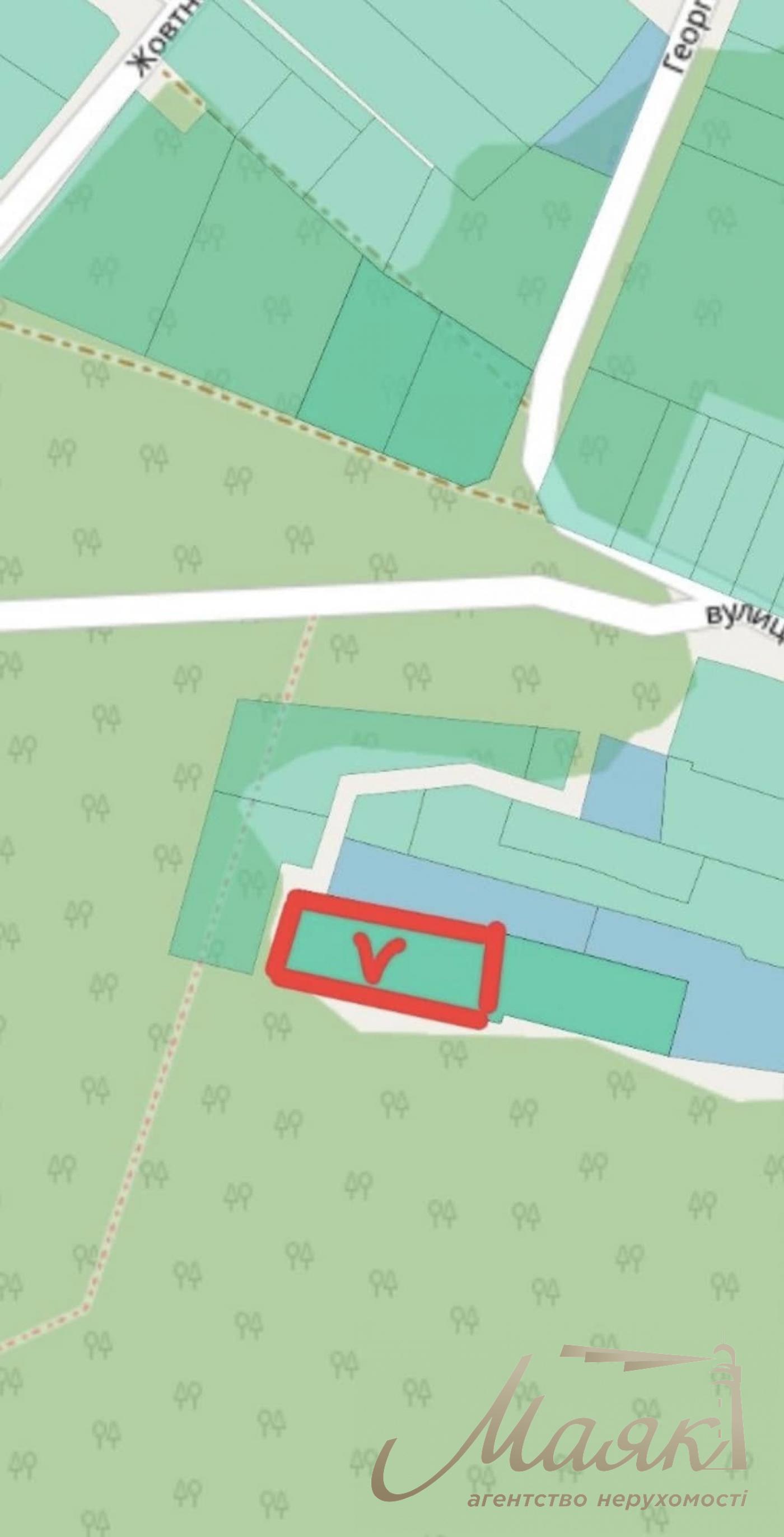 Sale of land for individual construction in the forest. Belogorodka village.