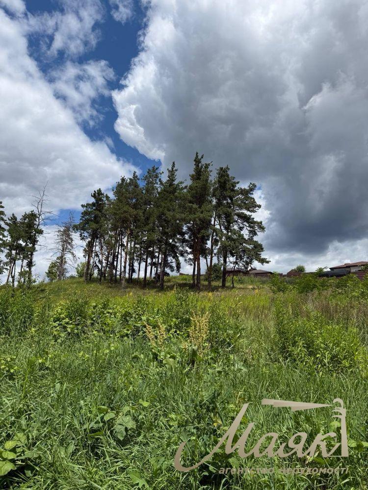 Продаж видових земельних ділянок від 14 до 40 соток у Лісниках, Києво-Святошинський район.