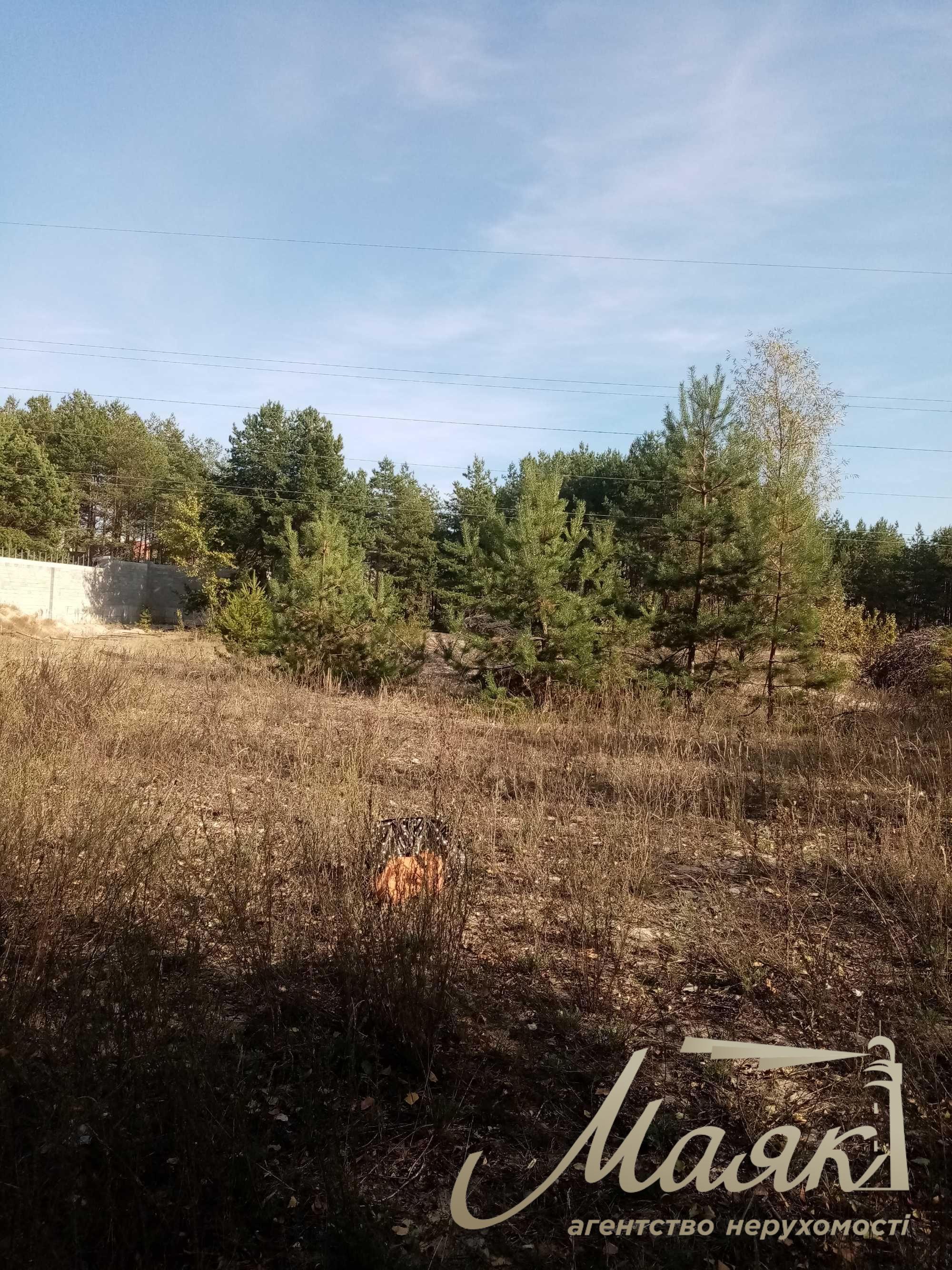 Plot for sale with access to the water (Koncha-Zaspa, Pluty, Kozin)