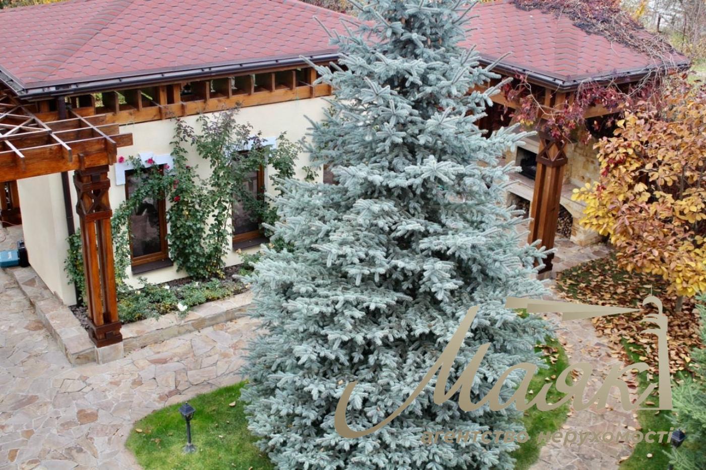 Продаж будинку 500 кв.м у Лісовому